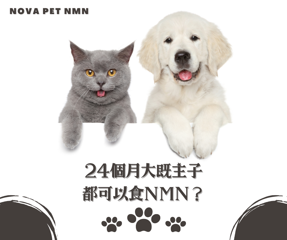 屋企有養主子的你，有冇想過原來我們的毛孩都可以吃NMN？🐶🐱