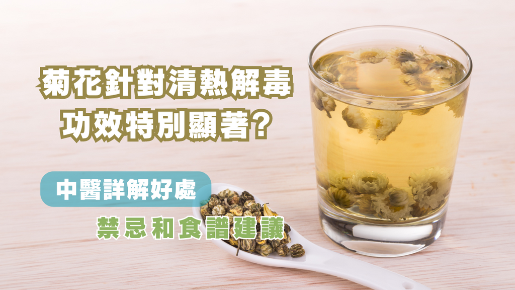 【天然解毒寶】菊花驚人功效無祕密!清熱解毒一掃病根! 詳解好處、禁忌和食譜建議